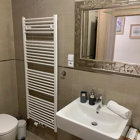 Arber - Wellness & Pool דירה Železná Ruda