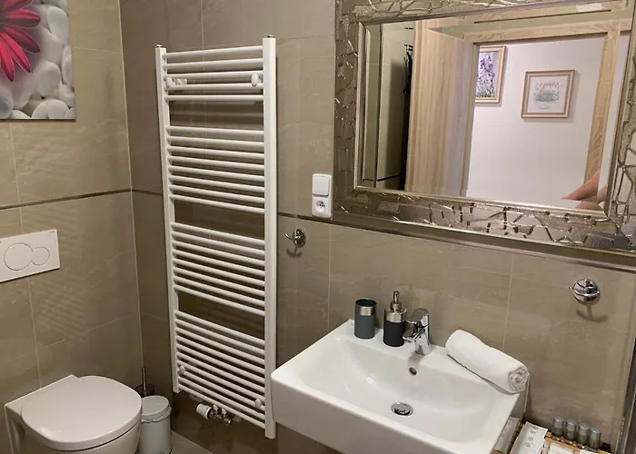 Arber - Wellness & Pool شقة Železná Ruda