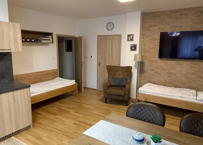 Apartment Arber - Wellness&pool Železná Ruda